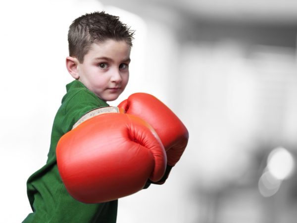 Outdoor Punching Bag