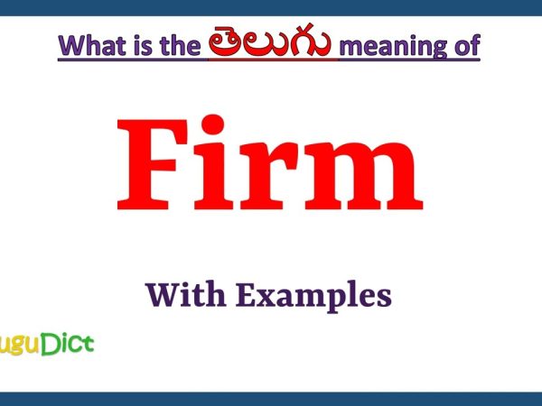 Firm Meaning in Telugu