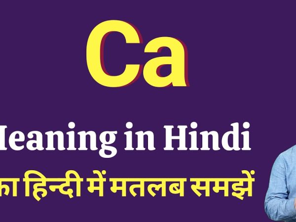 Chartered Accountant Meaning in Hindi