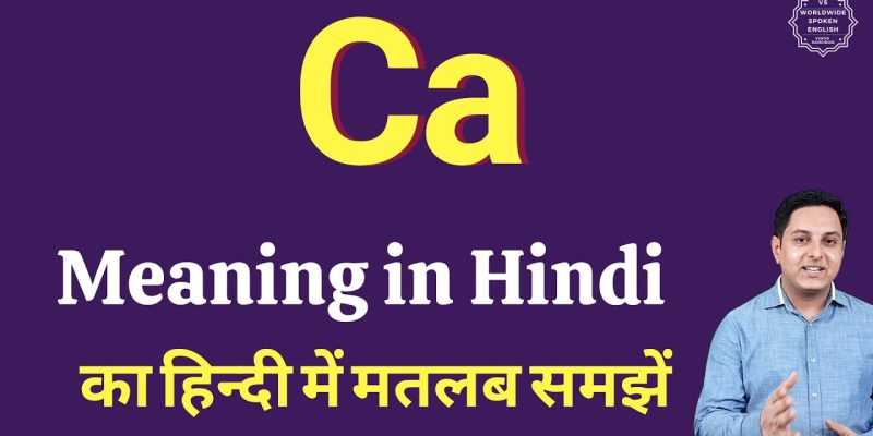 Chartered Accountant Meaning in Hindi