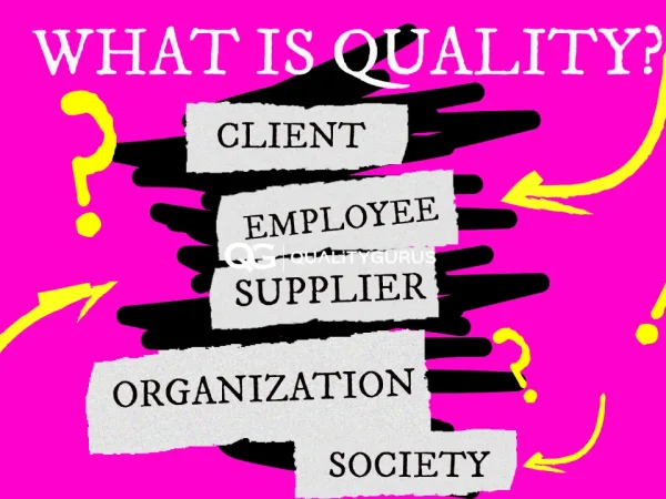 Quality Definition in Industry