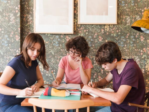 Teenagers Desk