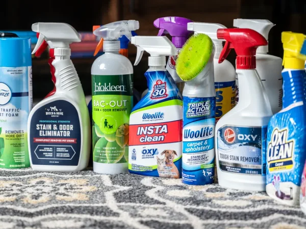 Cleaning Products for Carpets