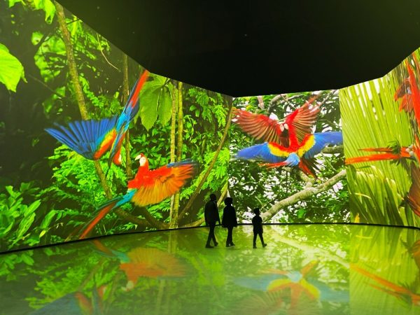 David Attenborough Exhibition