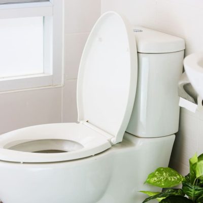 White Toilet Seat