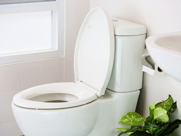 White Toilet Seat