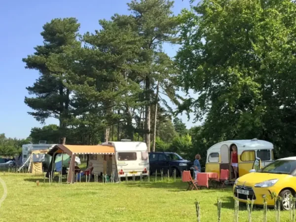 Sutton Hoo Campsite