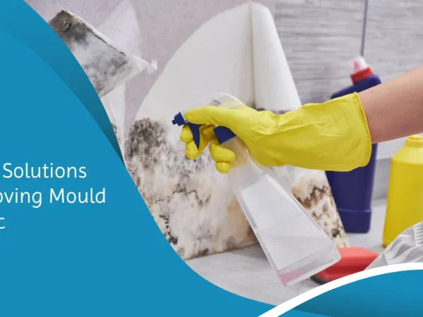 Mould Remover for Fabrics