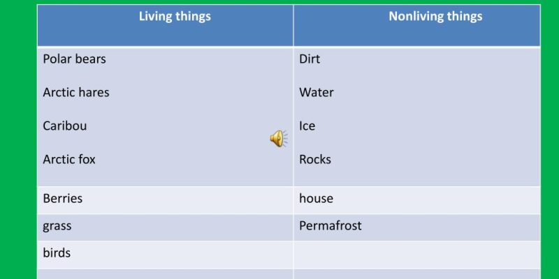 Nonliving Organisms in the Arctic