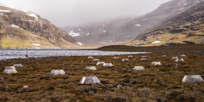 Where Can You Drink in the Biome Tundra