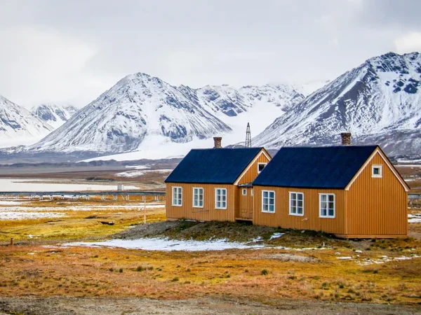 Why Would You Visit the Tundra