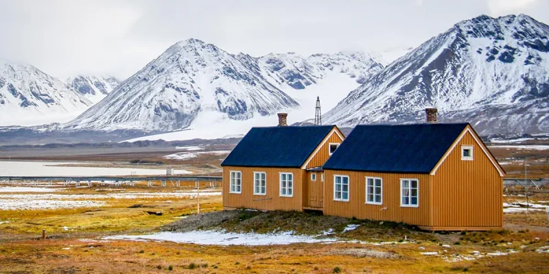 Why Would You Visit the Tundra