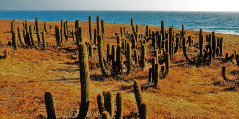 California Baja Mexico