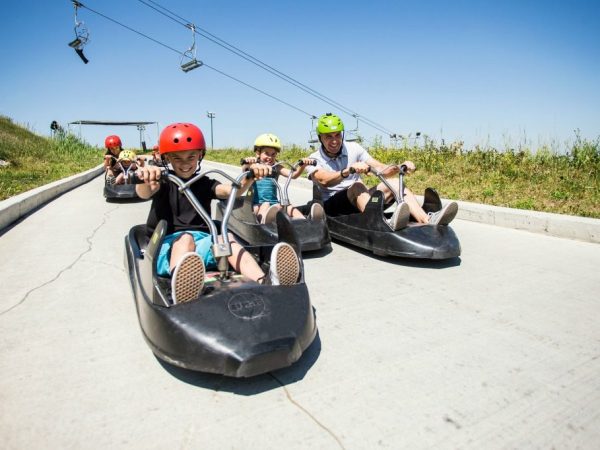 Things to Do in Calgary