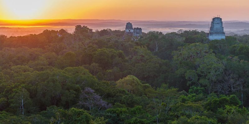 Tikal Sunrise Tour