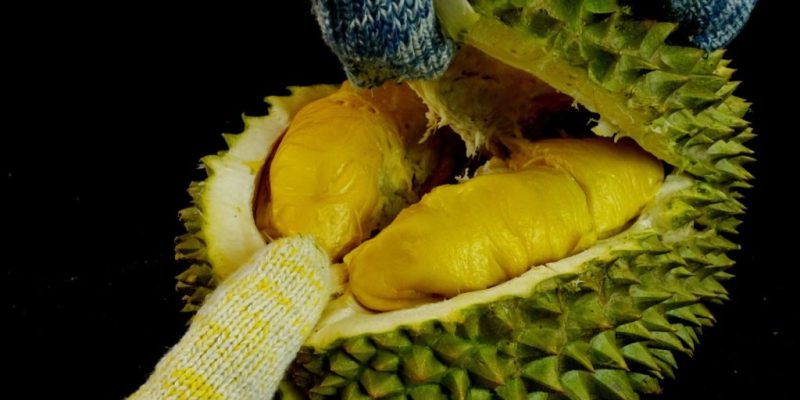 Uncle Lim Durian Farm