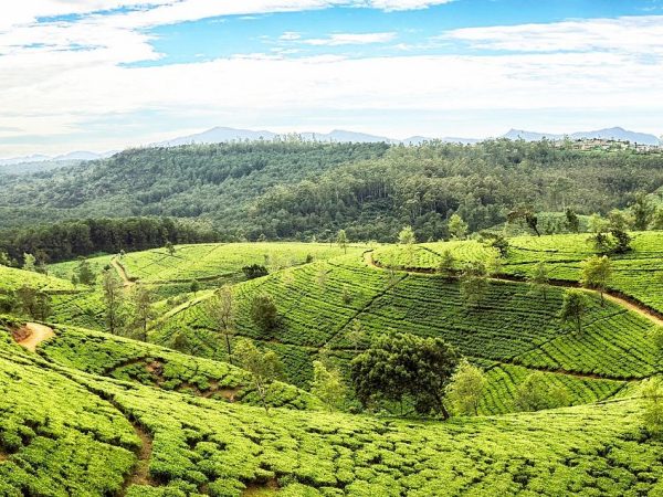 What to Do in Sri Lanka