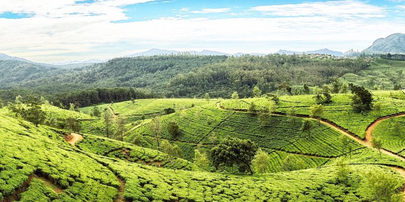 What to Do in Sri Lanka