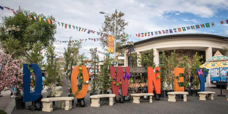 Judgment Collection Agency