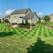 Lawn Patterns