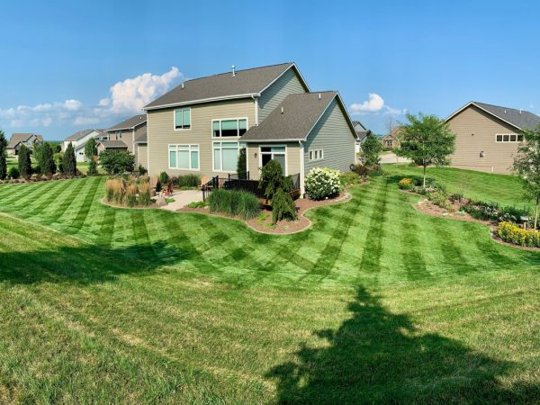 Lawn Patterns
