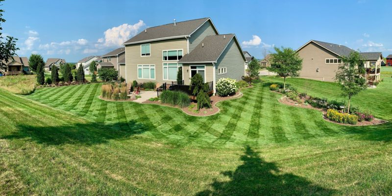Lawn Patterns